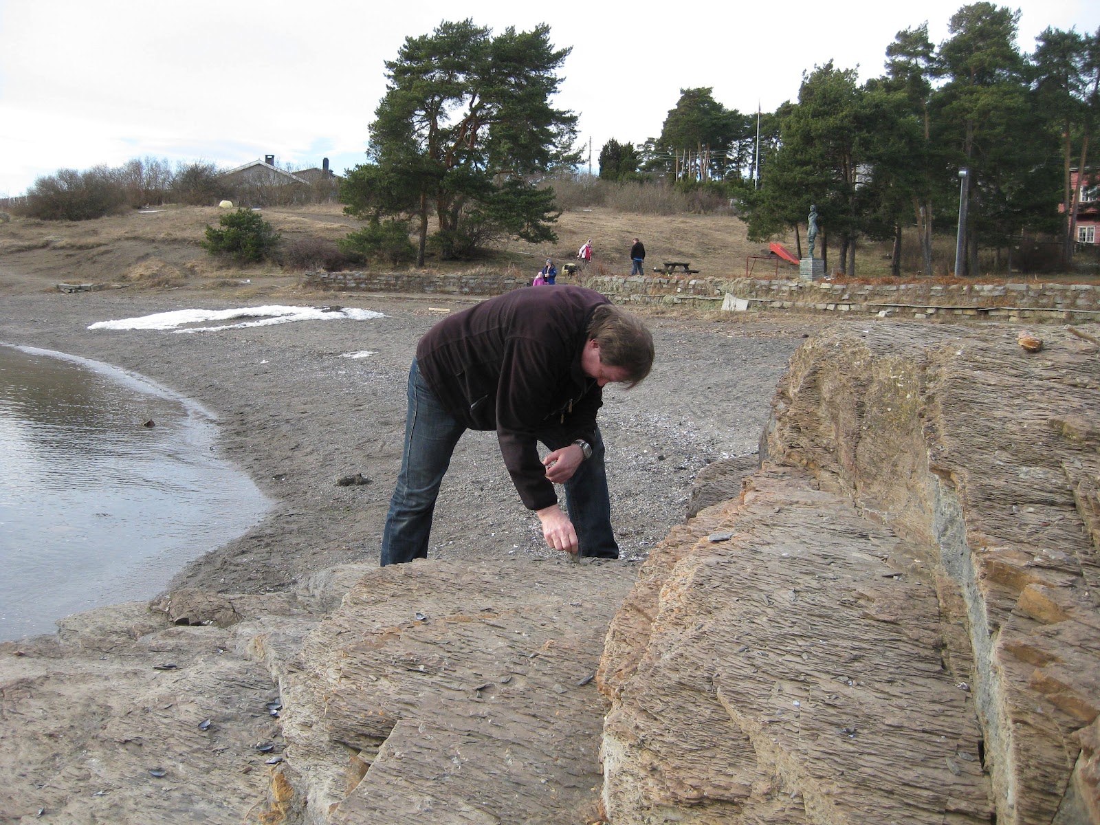 Modern Fossiljakt på Ulvøya en tidlig vårdag i mars... (når et fossil